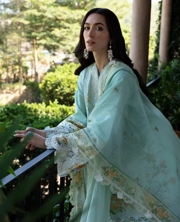 Elaine (D6-B) - Image 3