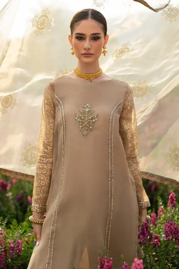 3-PC Embroidered Organza Suit CMA-5-062 - Image 3