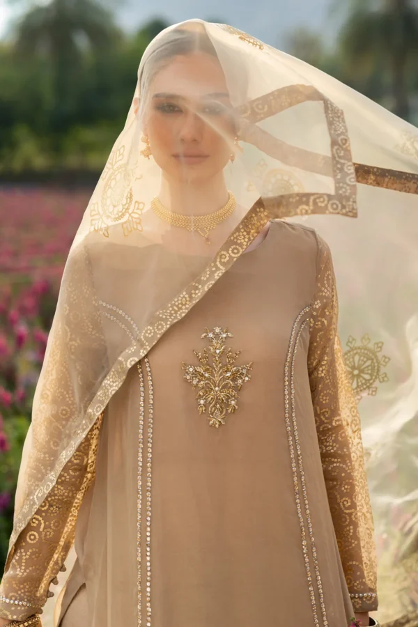 3-PC Embroidered Organza Suit CMA-5-062 - Image 4